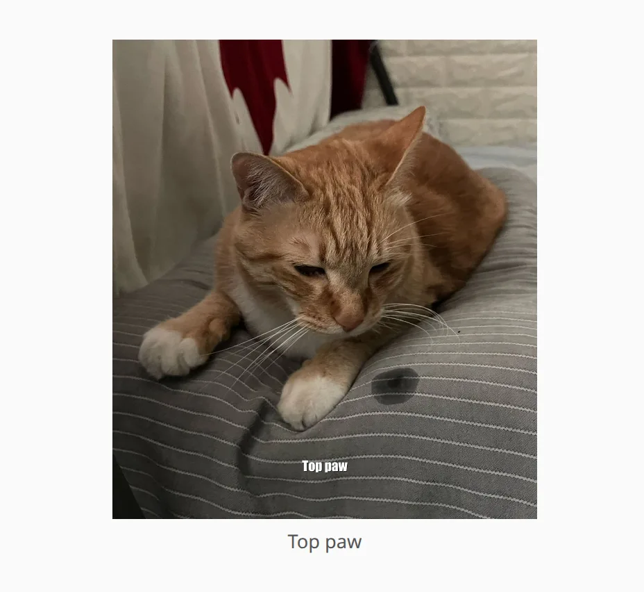 A cat photo captioned "You rock" shown as a reward.